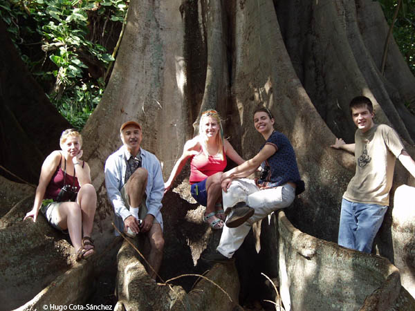a photo of the group at the base of a very large Ficus