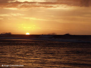 A beautiful sunset by the ocean.