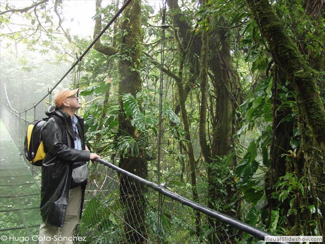 Hugo in suspended bridge