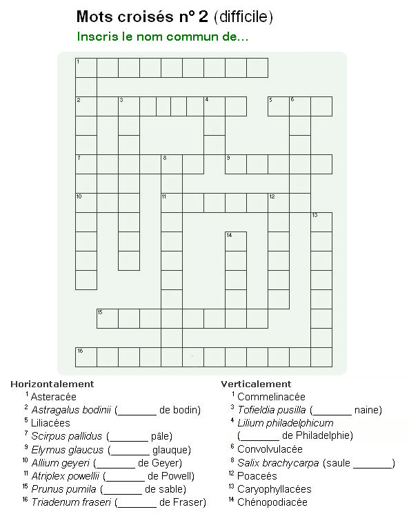 Mots croisés (difficile)