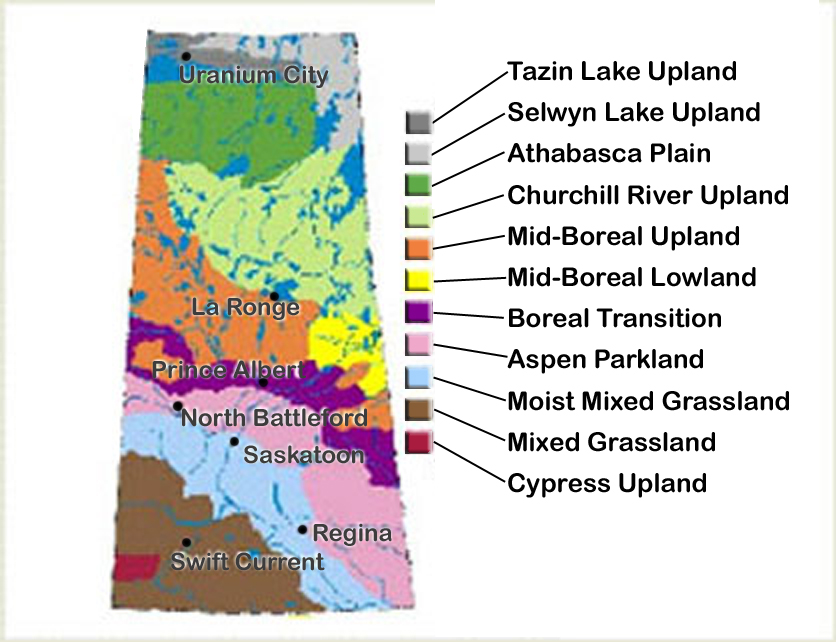 Ecoregions of Saskatchewan