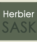 Herbier de la SASK