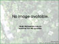 No image available for Chenopodium incanum