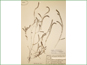 Le spécimen d'herbier de Myriophyllum alterniflorum