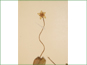 La fleur blanche de Parnassia sur un pédoncule long