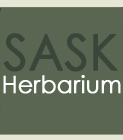 SASK Herbarium